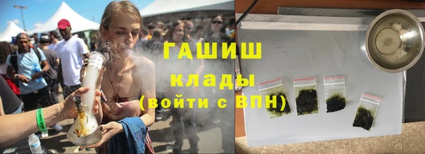 индика Алзамай