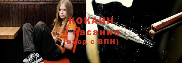 индика Алзамай