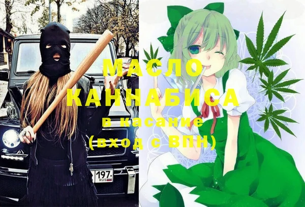 индика Алзамай