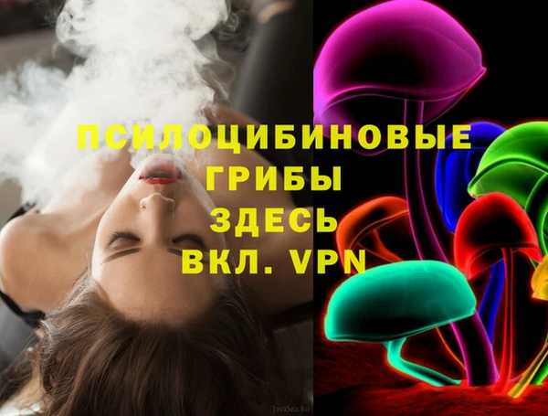индика Алзамай