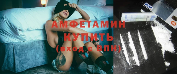 индика Алзамай