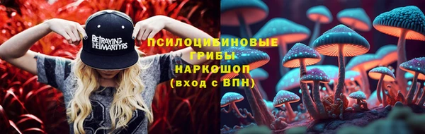 бошки Алексеевка