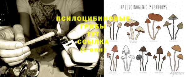 индика Алзамай